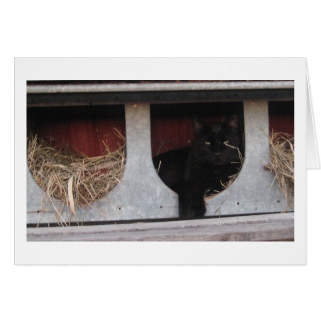 taking a break (Front Horizontal)