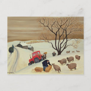 Taking Hay to the Sheep by Tractor Postcard