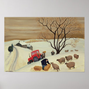 Taking Hay to the Sheep by Tractor Poster