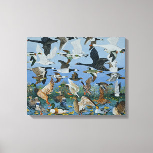 Taking Off 1996 Canvas Print