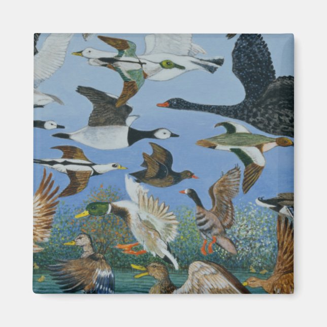 Taking Off 1996 Magnet (Front)