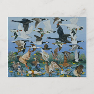 Taking Off 1996 Postcard