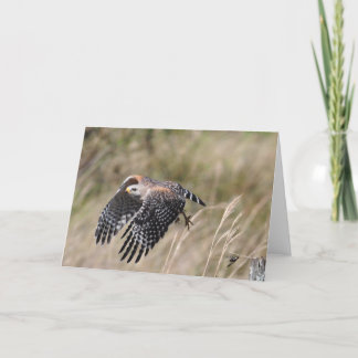 Taking Off Greeting Card