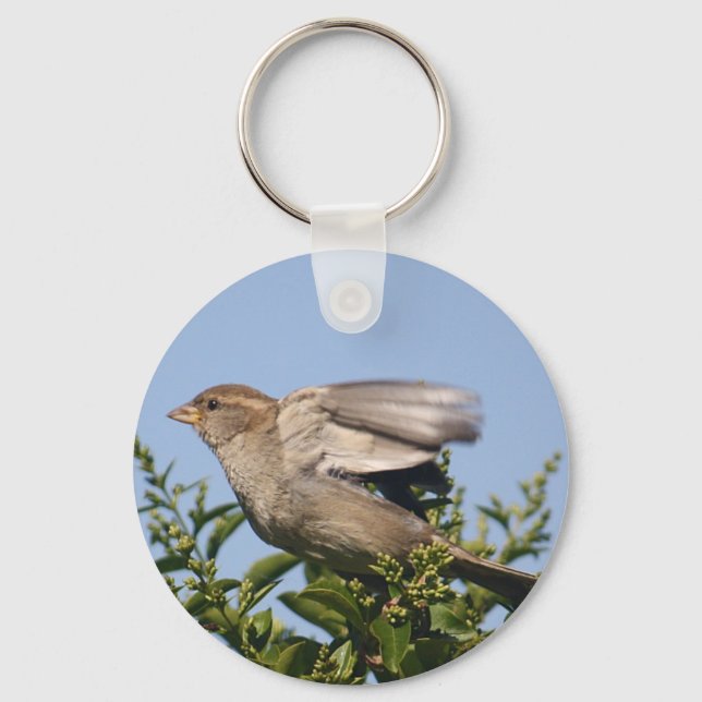 Taking off key ring (Front)
