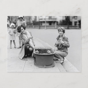 Taking The Ducks Out For A Swim Postcard