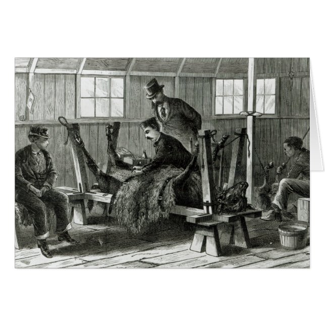 Taking virus from the calf (Front Horizontal)