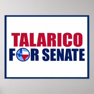 Talarico for Senate Texas 2026 Election Poster