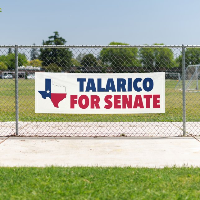 Talarico for Senate Texas Election Wide Banner (Insitu)