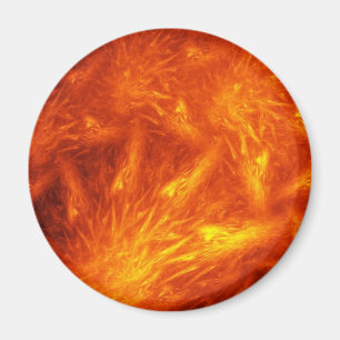 Tale of Chief Many Suns Magnet