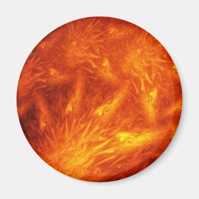 Tale of Chief Many Suns Magnet (Front)