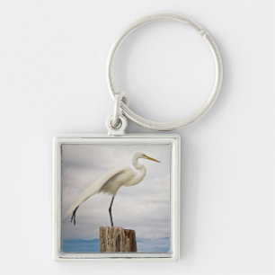 Talented Egret   Fort Myers Beach, Florida Key Ring