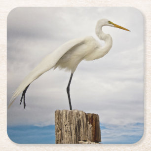 Talented Egret Fort Myers Beach, Florida Square Paper Coaster
