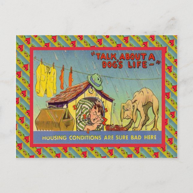 Talk about a dog's life... postcard (Front)