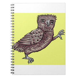 Talk to the Claw Mediaeval Owl Notebook