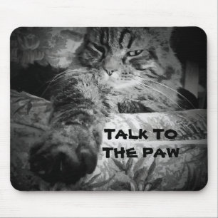 Talk to the paw Cat Meme Mouse Pad