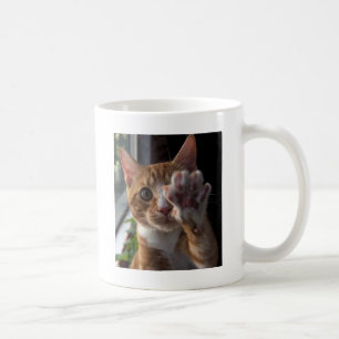 talk to the paw coffee mug