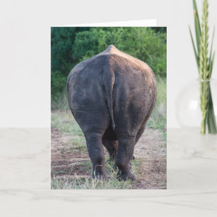 Talk to the Tail - Rhino Card