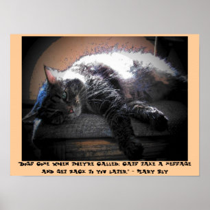 Talk to You Later with Mary Bly quote Poster