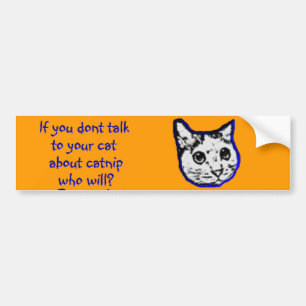 Talk to your cat about catnip bumper sticker