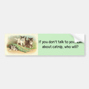 Talk to Your Cat About Catnip, Bumper Sticker