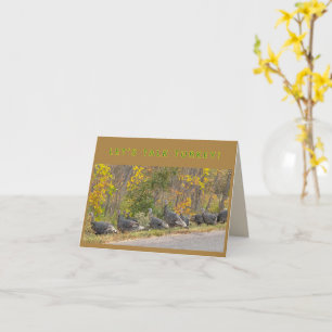 TALK TURKEY card Thanksgiving Turkeys personalize