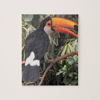 "Talkie talkie!" Tucan Jigsaw Puzzle