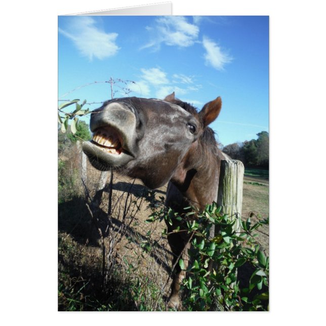 Talking Brown Horse (Front)