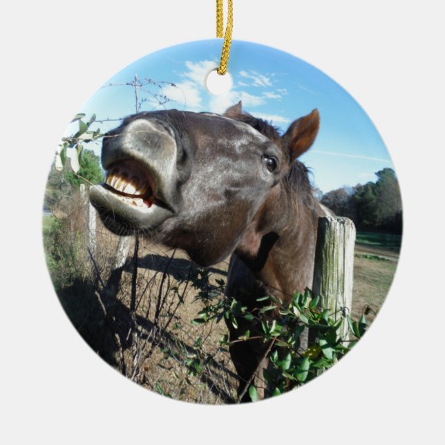 Talking Brown Horse Ceramic Tree Decoration (Front)