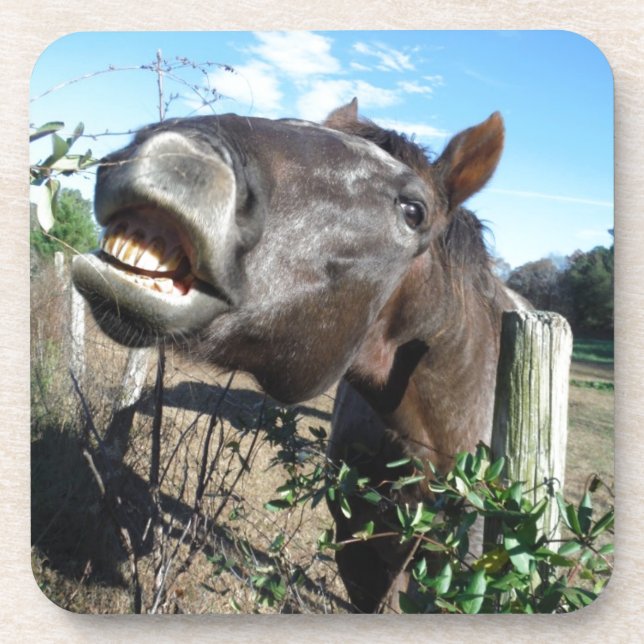 Talking Brown Horse Coaster (Front)