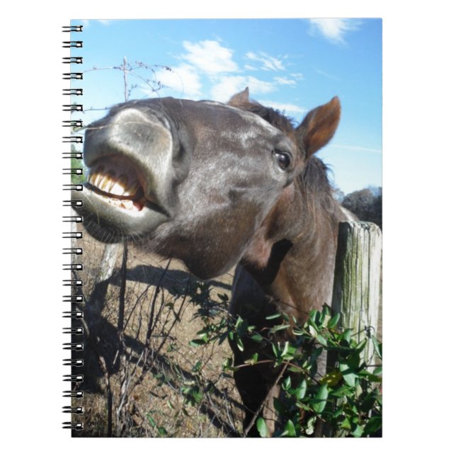 Talking Brown Horse Spiral Notebook (Front)