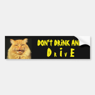 Talking Cat Says Don't Drink And DIE (Drive) Bumper Sticker