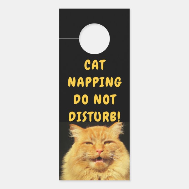Talking Cat says Please Knock Napping Door Hanger (Front)