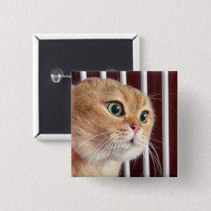 Talking Cats Meme Pin Button