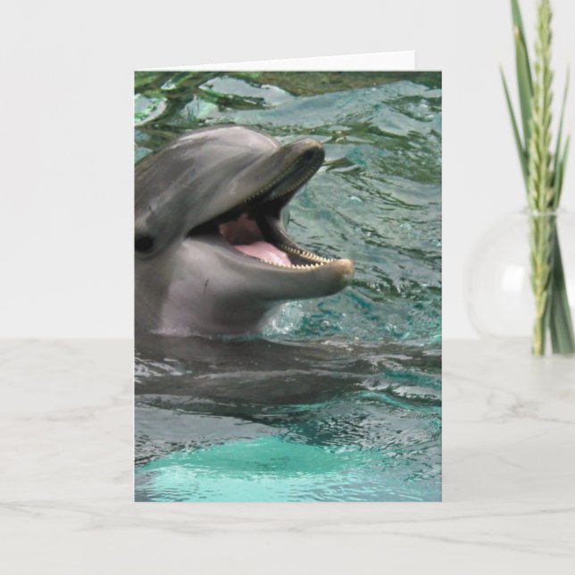 Talking Dolphin Greeting Cards (Front)