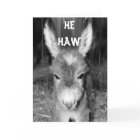 TALKING DONKEY HE HAWS **HAPPY BIRTHDAY**