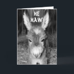 TALKING DONKEY HEW HAWS HAPPY BIRTHDAY WISHES CARD<br><div class="desc">THIS TALKING DONKEY HE HAWS HAPPY BIRTHDAY WISHES JUST FOR 'YOU' AND HE EVEN "TRANSLATES IT FOR YOU!" (HA HA) THANKS FOR STOPPING BY ONE OF MY EIGHT STORES!!!!</div>