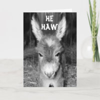 TALKING DONKEY HEW HAWS HAPPY BIRTHDAY WISHES