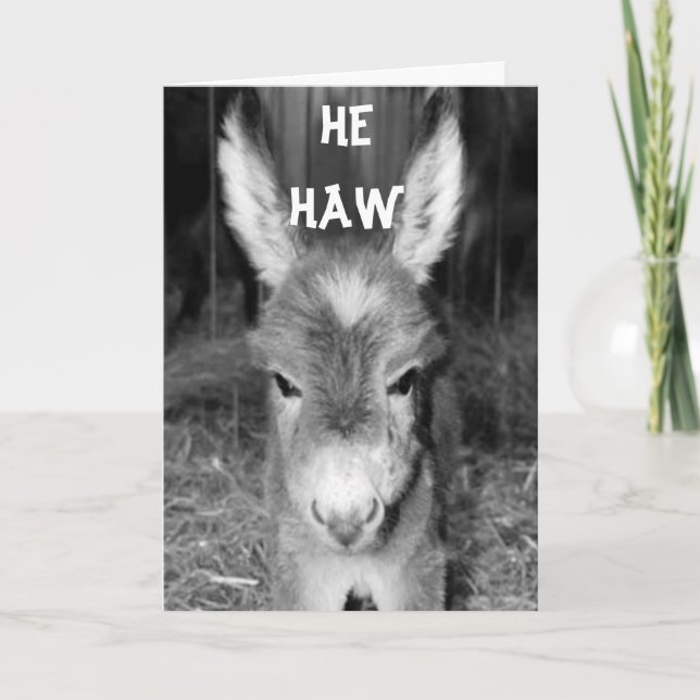 TALKING DONKEY HEW HAWS HAPPY BIRTHDAY WISHES CARD (Front)