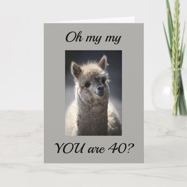 **TALKING LLAMA**  GREETING" FOR "40th" BIRTHDAY Card (Front)