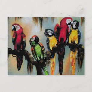 Talking Parrots ~ Postcard Bird Nature Wild