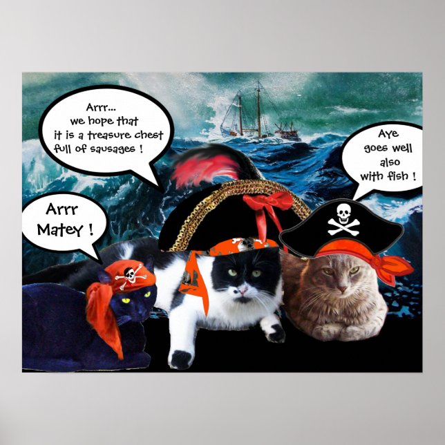 TALKING PIRATE CATS AND SHIP IN THE SEA STORM POSTER (Front)
