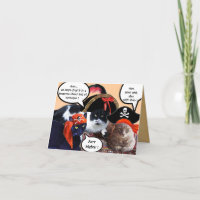 TALKING PIRATE CATS ,ANTIQUE PIRATES TREASURE MAPS