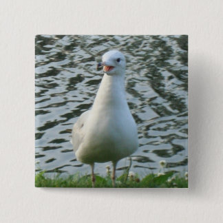 Talking Seagull 15 Cm Square Badge