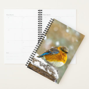 tall3 planner
