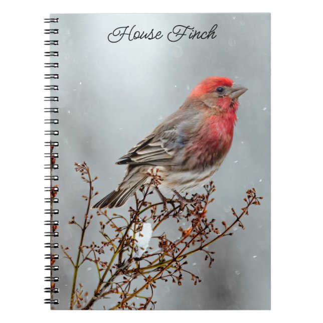 Tall 24x36 notebook (Front)