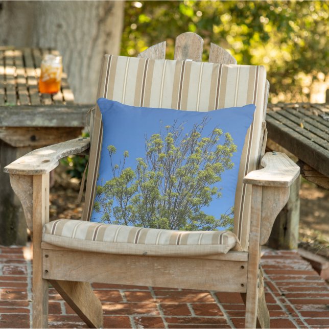 Tall Ash Tree In The Beautiful Blue Sky Photo  Cushion (Chair)
