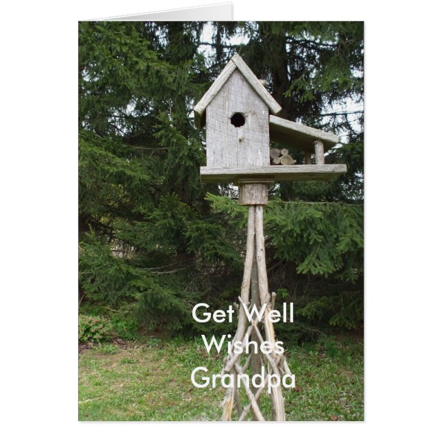 -Tall Bird House (Front)