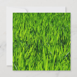 Tall Blades of Grass Card