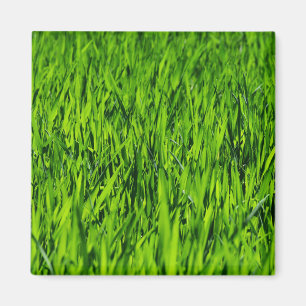 Tall Blades of Grass Magnet