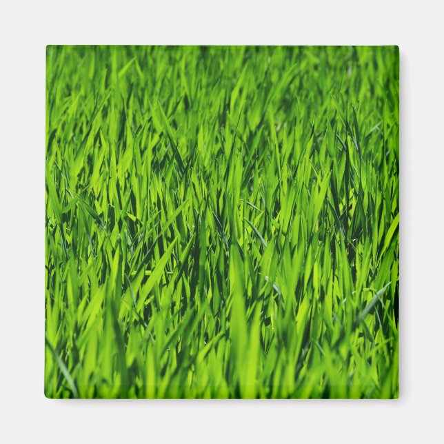 Tall Blades of Grass Magnet (Front)